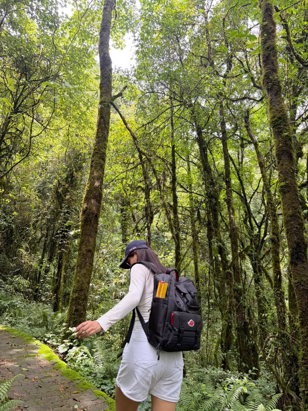 Sonam turned sideways on a forest path beneath tall trees while wearing a backpack.